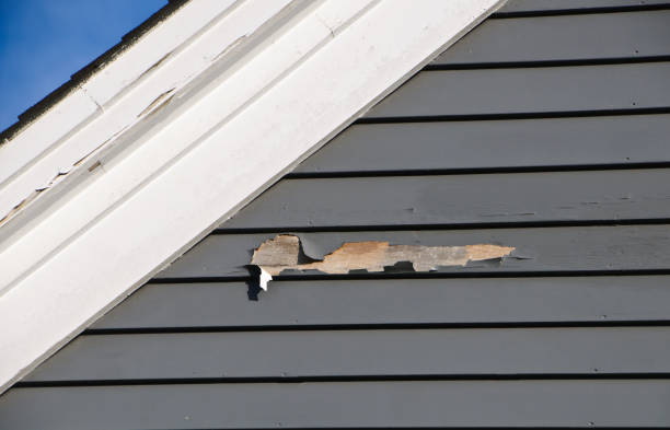 Best Property Management Cleanouts  in Huntersville, NC